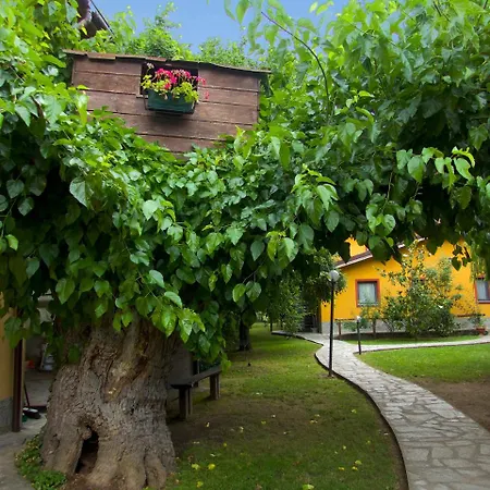 Il Fiorile 3* Borghetto Di Borbera